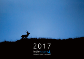 Il calendario fotografico 2017 è disponibile!
