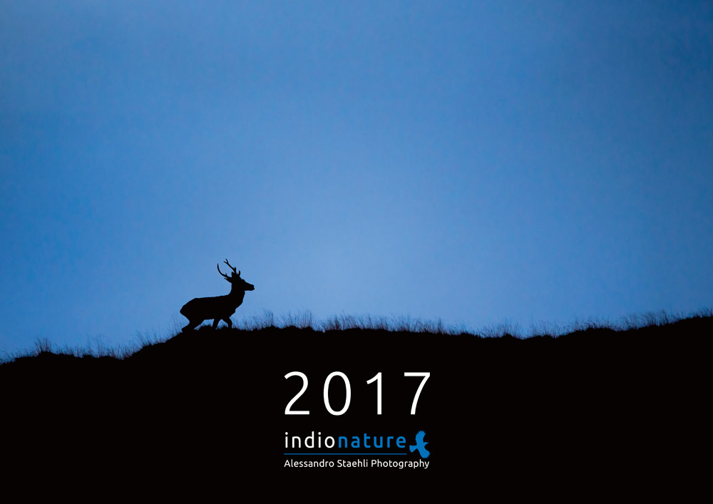 Il calendario fotografico 2017 è disponibile!