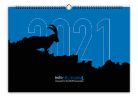 Ecco il calendario 2021!