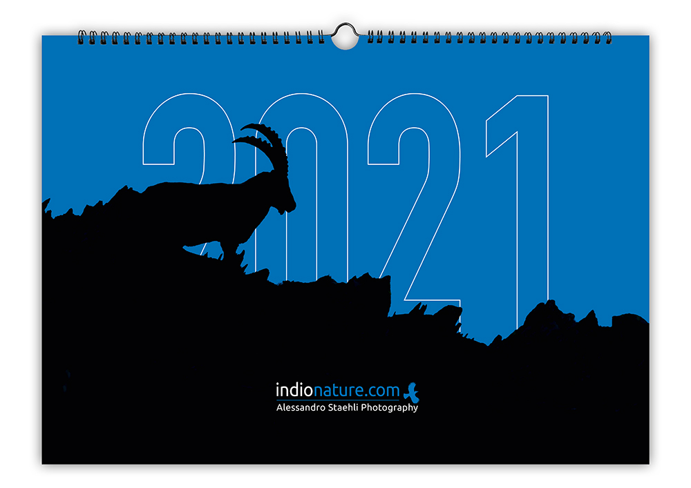 Le Calendrier 2021 sort de l&rsquo;ombre!