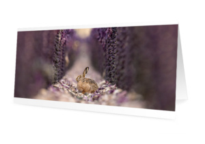 Set de 6 cartes de vœux originales (10x21 cm, avec enveloppes)