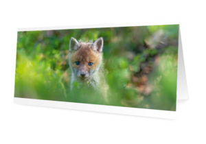 Set de 6 cartes de vœux originales (10x21 cm, avec enveloppes)