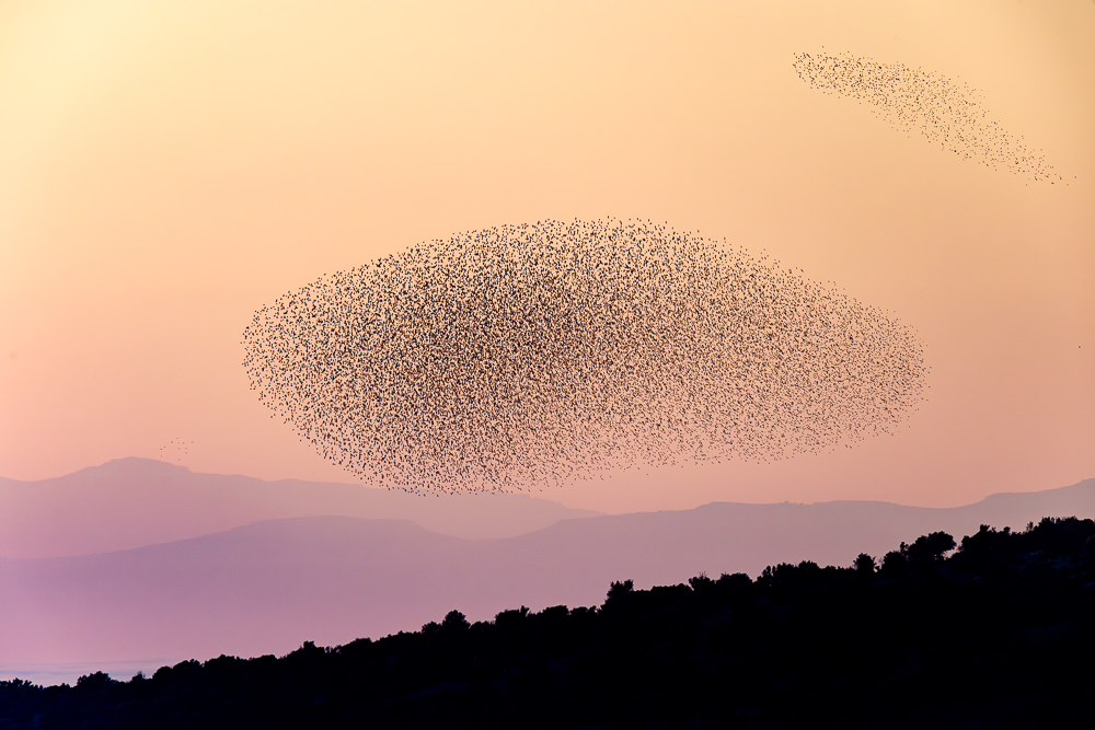L&rsquo;apocalypse selon Sturnus, nouvelle galerie