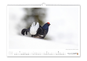 Calendrier photo 2025