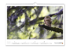 Calendrier photo 2025