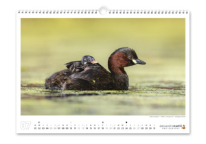 Calendrier photo 2025