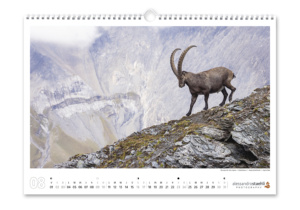 Calendrier photo 2025