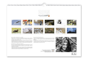 Calendrier photo 2025