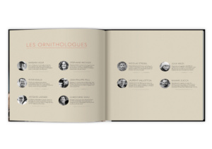 Extraordinaires oiseaux