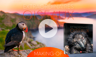 Uscita del libro Extraordinaires oiseaux