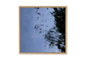 L'oiseau papillon - Triptyque