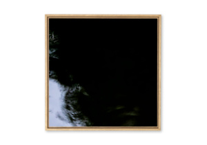 L'oiseau papillon - Triptyque