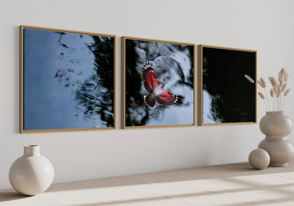 L'oiseau papillon - Triptyque