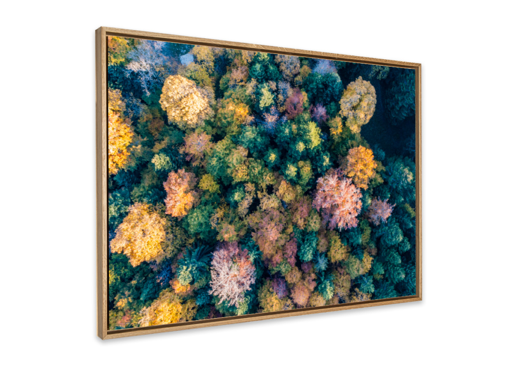 Toile d'automne vue du ciel - Tirage d'art encadré