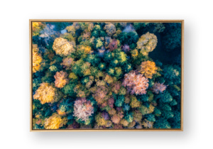 Toile d'automne vue du ciel - Tirage d'art encadré