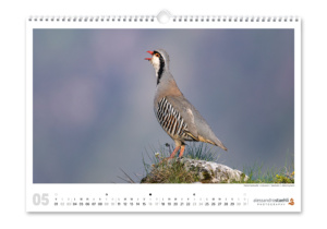 Calendrier photo nature 2026