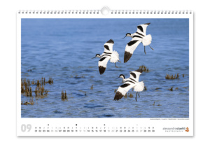 Calendrier photo nature 2026