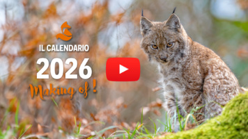 Calendario fotografico 2026 – Il making of!